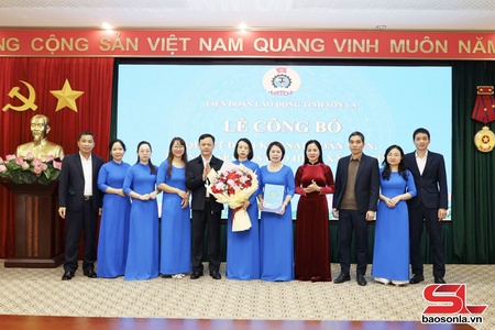 Thành lập Công đoàn cơ sở Bảo hiểm xã hội tỉnh