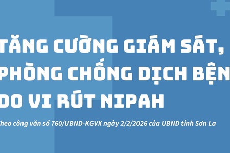 Tăng cường giám sát, phòng chống dịch bệnh do vi rút Nipah