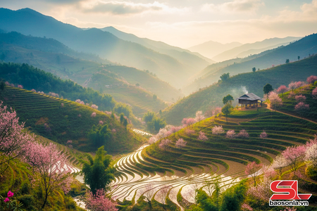 Truyện podcast: Mùa xuân trong ngôi nhà lạ