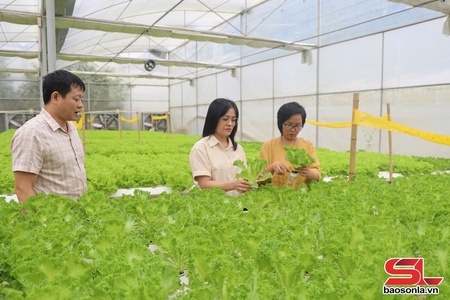 Sắp xếp, tinh gọn đơn vị sự nghiệp công lập