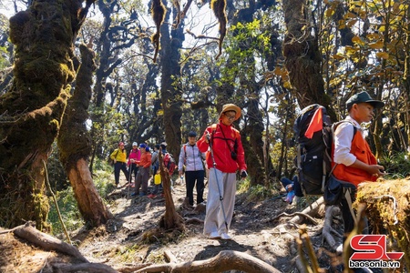 Khám phá đỉnh Phu Sa Phìn