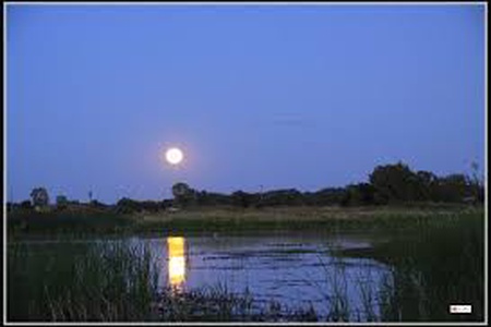 Truyện Podcast: Phía trăng lên