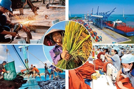 Từ 1/7/2026 chỉ còn 142 ngành, nghề đầu tư kinh doanh có điều kiện