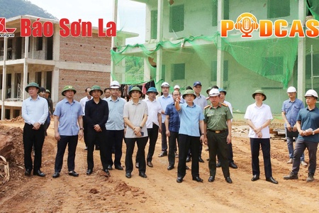 Bản tin Podcast ngày 4/6/2026