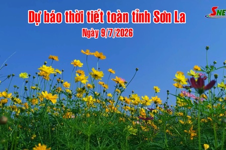 Dự báo thời tiết toàn tỉnh Sơn La ngày 9/7/2026