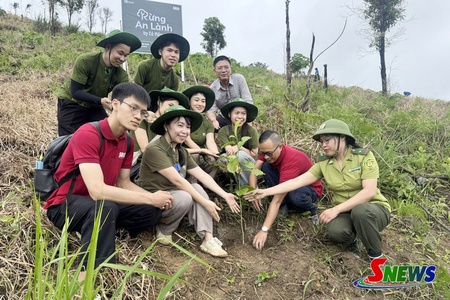 Xã Bình Thuận ra quân trồng 11 ha rừng phục hồi