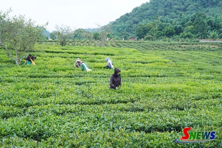Quy hoạch tạo không gian phát triển bền vững ở Bình Thuận