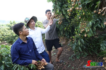Điểm sáng "Chi bộ 4 tốt" bên dòng sông Mã