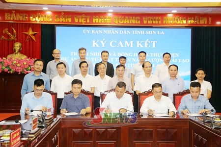 Cam kết trách nhiệm và đồng hành thực hiện các dự án đầu tư phát triển năng lượng tái tạo