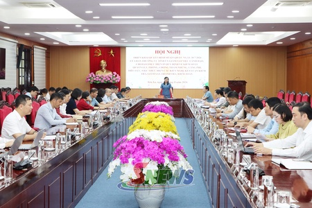 Hội nghị triển khai quyết định, kế hoạch giám sát  của Ban Thường vụ Tỉnh ủy đối với các tổ chức đảng