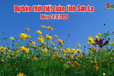 Dự báo thời tiết toàn tỉnh Sơn La ngày 24/8/2026