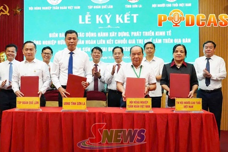 Bản tin Podcast ngày 30/8/2026