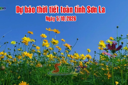Dự báo thời tiết toàn tỉnh Sơn La ngày 5/10/2026