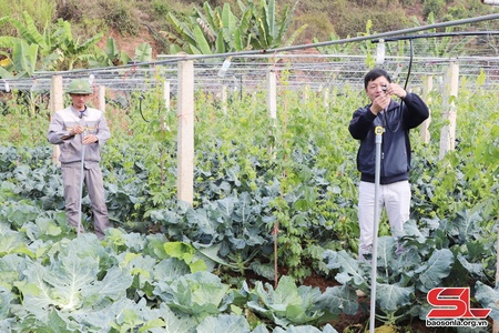 Nhiều hoạt động giúp hội viên phát triển sản xuất