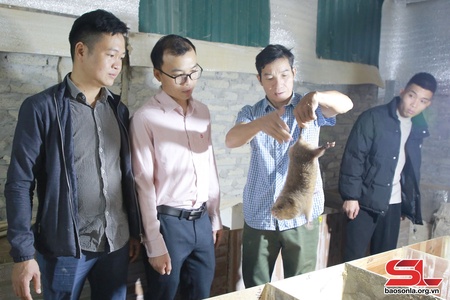 Giúp nhân dân tiếp cận chính sách tín dụng