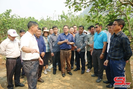 Đẩy mạnh hợp tác về nông nghiệp với các tỉnh nước bạn Lào