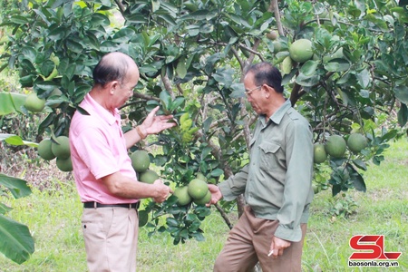 Đảng bộ thị trấn Ít Ong đưa nghị quyết vào cuộc sống