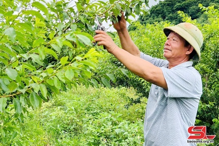 Người cao tuổi nêu gương sáng trong phát triển kinh tế