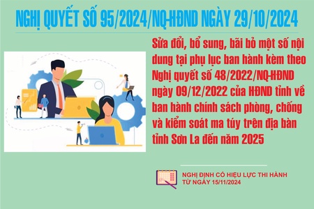 Sửa đổi, bổ sung, bãi bỏ một số nội dung tại phụ lục ban hành kèm theo Nghị quyết số 48