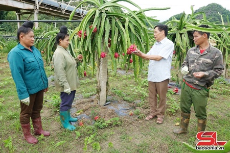 Mở rộng thị trường tiêu thụ nông sản