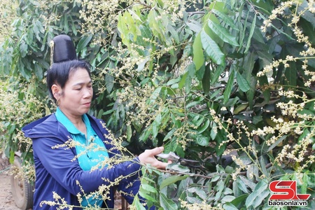 Hội viên phụ nữ tiêu biểu