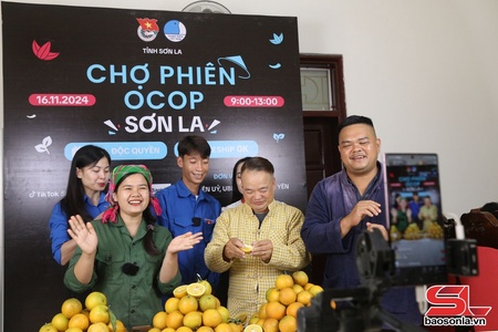 Đoàn thanh niên với mô hình “Ba liên kết”: Kỳ 2: Động lực khởi nghiệp, sáng tạo