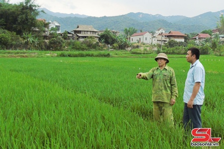Người có uy tín vận động nhân dân làm giàu