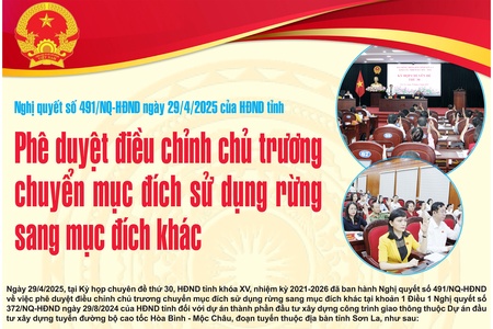 Phê duyệt điều chỉnh chủ trương chuyển mục đích sử dụng rừng sang mục đích khác