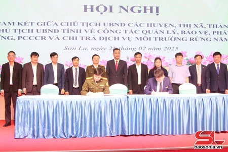 Phát huy vai trò nòng cốt, chuyên trách trong quản lý, bảo vệ, phát triển rừng