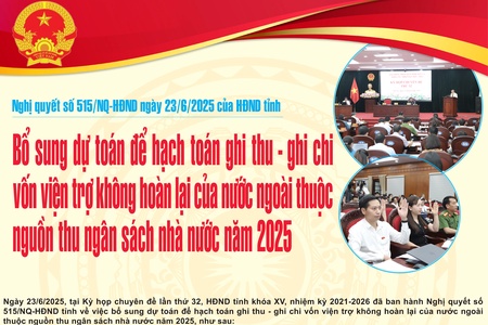 Nghị quyết số 515/NQ-HĐND