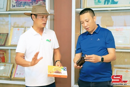 Giám đốc năng động trên cao nguyên