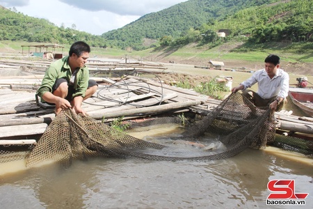 Xây dựng các mô hình kinh tế hiệu quả