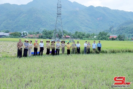 Khuyến nông đồng hành cùng nông dân