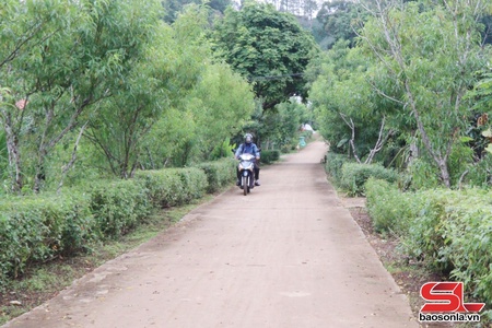 Chiềng Sung đoàn kết xây dựng nông thôn mới