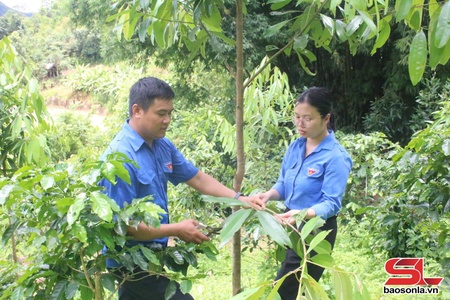 Thanh niên tiêu biểu trong phát triển kinh tế