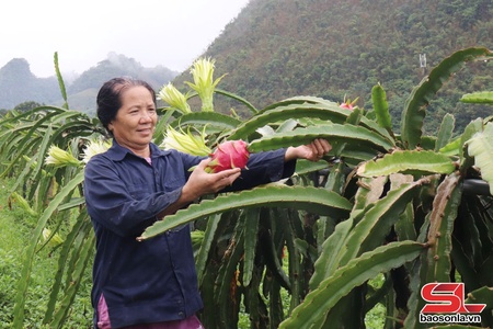 Khơi dậy tinh thần học tập, lao động sáng tạo