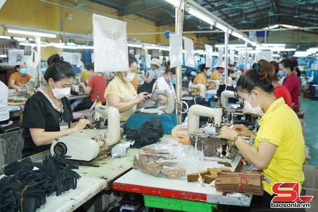 Phù Yên khai thác tiềm năng, lợi thế vùng