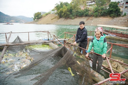Tường Hạ đẩy mạnh chuyển đổi cơ cấu cây trồng, vật nuôi