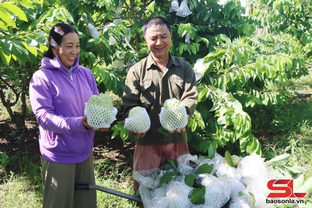 Chi bộ điển hình học và làm theo bác