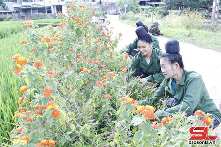 Góp sức xây dựng nông thôn mới, đô thị văn minh