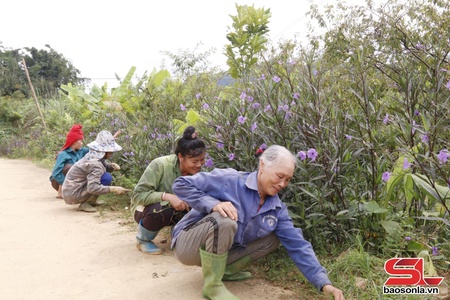 Xây dựng gia đình “5 không, 3 sạch” tại xã Mường Chanh