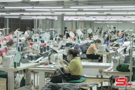 Tường Hạ hỗ trợ, tư vấn việc làm cho lao động
