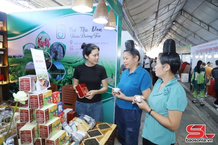 Ứng dụng công nghệ và chế biến sâu sản phẩm chè