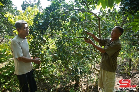 Mường Cơi phát triển kinh tế tư nhân