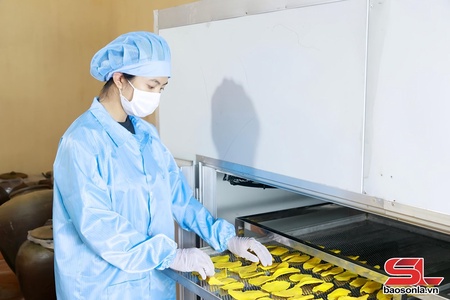 Ứng dụng công nghệ trong bảo quản, chế biến nông sản