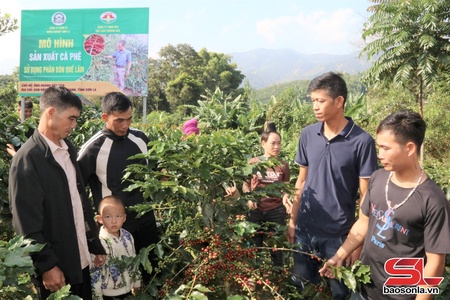 Phát huy lực lượng tiên phong trong phát triển nông nghiệp bền vững