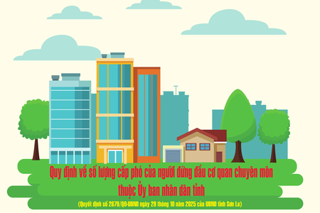 Quy định về số lượng cấp phó của người đứng đầu cơ quan chuyên môn thuộc Ủy ban nhân dân tỉnh