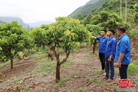 Đoàn kết xây dựng nông thôn mới