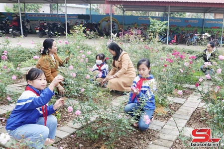 Púng Bánh bảo vệ môi trường xanh, sạch, đẹp