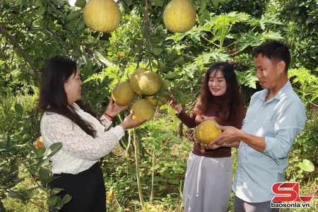 Gia Phù giảm nghèo bền vững